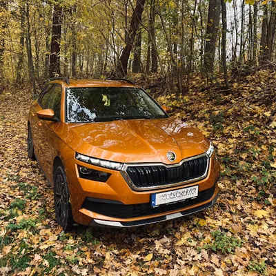 Wypożyczalnia Aut Illegal Cars